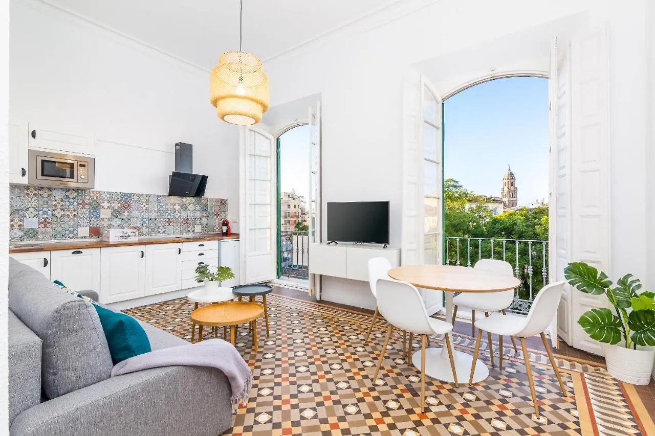 Suite Homes Apartamentos Plaza De La Merced contacts
