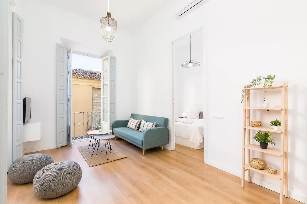 Apartment Suite Homes Apartamentos Plaza De La Merced Malaga
