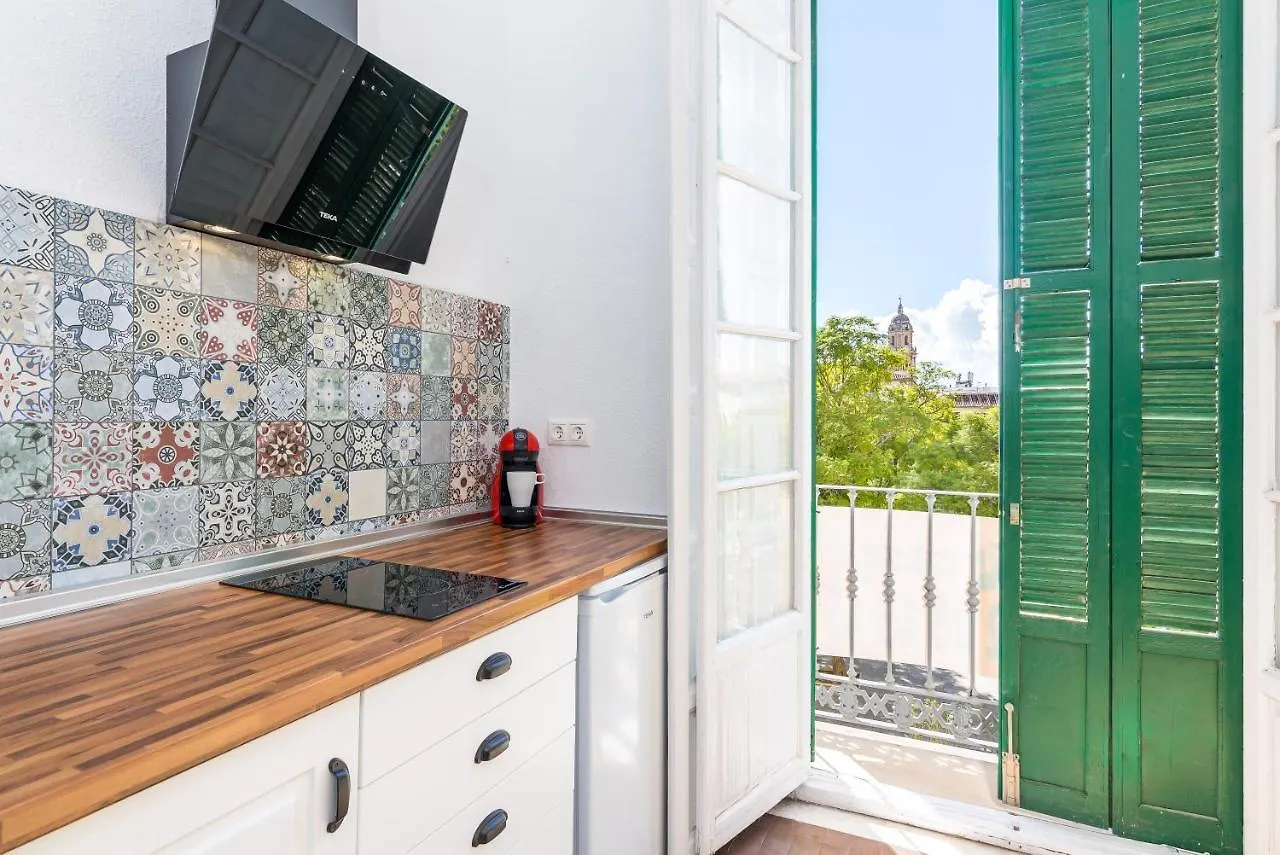 Apartment Suite Homes Apartamentos Plaza De La Merced Malaga Spain